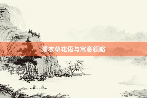 薰衣草花语与寓意领略